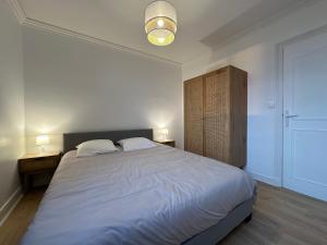 - une chambre avec un grand lit et 2 oreillers dans l'établissement Appartement NEUF et cosy à Blois, à Blois