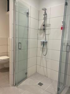 eine Dusche mit Glastür im Bad in der Unterkunft FeWo Oldau's Nestchen in Oldau