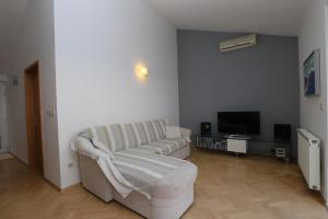 TV a/nebo společenská místnost v ubytování Apartments Simic