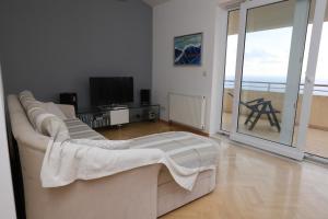 TV a/nebo společenská místnost v ubytování Apartments Simic