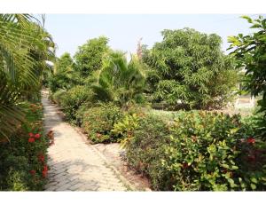 un sentiero attraverso un giardino con fiori e alberi di Sundarban Wild Camp, Dayapur, WB a Japur