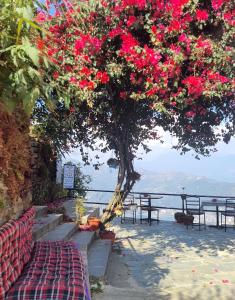 a tree with red flowers on it next to the water at Peace Dragon Lodge in Pokhara