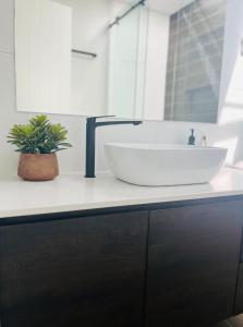 Rylstonethe little nest, Rylstone的一个带水槽和台面植物的浴室