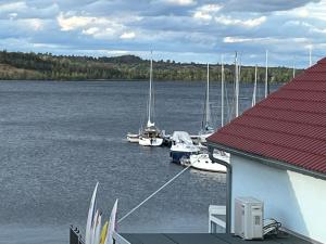 eine Gruppe von Booten, die an einem Dock an einem See angedockt sind in der Unterkunft Villa di Lago - Ferienhaus mit Sauna in Mücheln