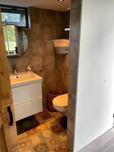 德拉赫騰的住宿－B&B Bijzonder，一间带卫生间、水槽和镜子的浴室