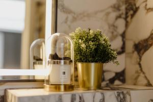 un procesador de alimentos sobre una mesa con una maceta en AMORE LUXURY APARTMENT, en Zagreb