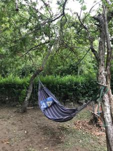 a blue hammock hanging from a tree at Isla Curubica in Tigre