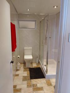 uma casa de banho com um WC e uma cabina de duche em vidro. em Simon's Place is a 3 bedroom bungalow in H.T.H em Jamestown