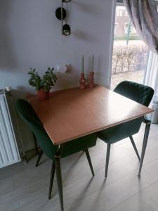 een houten tafel met twee groene stoelen eromheen bij De Lindehoeve Appartement de Deel in Vledder