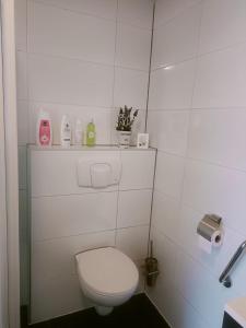 een witte badkamer met een toilet en een wastafel bij De Lindehoeve Appartement de Deel in Vledder