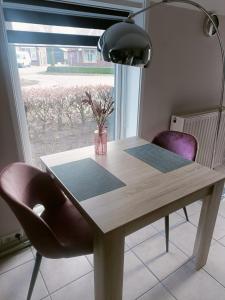 a dining room table with two chairs and a lamp at De Lindehoeve Appartement de Pompestraat in Vledder