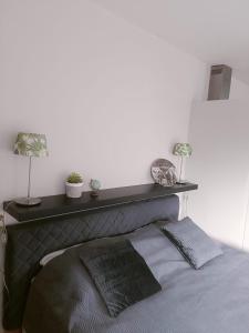 Una cama con una cabecera negra con dos plantas. en De Lindehoeve Appartement de Pompestraat, en Vledder