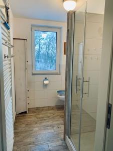 a bathroom with a toilet and a window at Forsthaus am Waldrand 