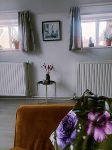 ein Wohnzimmer mit einer Couch und zwei Fenstern in der Unterkunft De Lindehoeve Appartement de Deel in Vledder + 6 Fotos