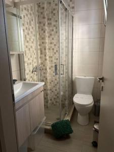 een badkamer met een douche, een toilet en een wastafel bij Lovely apartment 2’ walking from Anavyssos beach in Anavissos