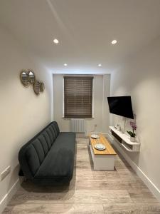 Televízia a/alebo spoločenská miestnosť v ubytovaní Stylish and cozy flats