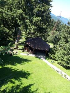 domek na środku pola z drzewami w obiekcie Casa BonDia w mieście Pârâul Rece