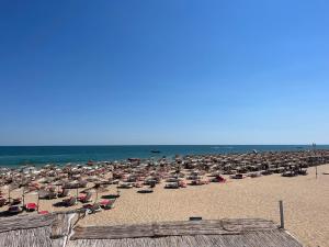 a beach filled with lots of chairs and the ocean at SH Splendido Mare - All inclusive- Free Beach- FULLY RENOVATED in Golden Sands