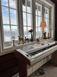 un piano sentado en un alféizar de la ventana en una habitación en Sletthovdun 151, en Al
