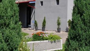 einen Garten mit Blumen und Topfpflanzen vor einem Gebäude in der Unterkunft Leniuszek in Stronie Śląskie