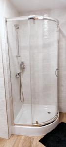 a shower with a glass door in a bathroom at Leniuszek in Stronie Śląskie