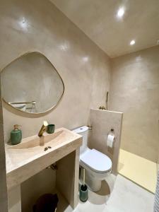 ein Badezimmer mit einem Waschbecken, einem WC und einem Spiegel in der Unterkunft Cocon de mimi in Aix-les-Bains