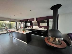 a kitchen with a fireplace in the middle of a room at Le Loly in Clermont-Ferrand