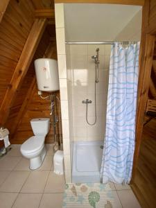 a bathroom with a toilet and a shower at SOLO in Łukęcin