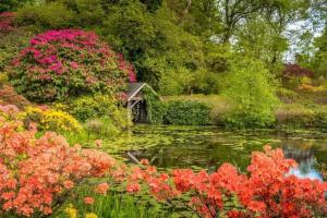 a garden with colorful flowers and a pond at The Coach House - Bargany in Girvan