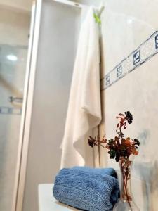 baño con toalla y jarrón con planta en Casa de Danann, en Rasquera