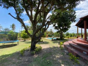 A garden outside Vacation Home close to the beach in Bilene