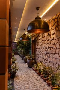 a hallway with potted plants on a stone wall at Dream Connect Boutique House in Jodhpur