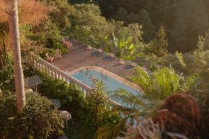 a bridge over a swimming pool in a forest at Villa Alto Boutique Hotel in Ponta do Sol