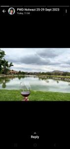 una copa de vino frente a un lago en Cosy home in Pecanwood lake view - Hartbeesport, en Hartbeespoort