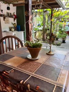 una mesa con una maceta encima en Casa Mico Leão Dourado en Bombinhas