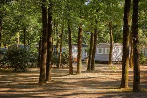 eine Reihe von Bäumen in einem Hof mit Häusern in der Unterkunft Mobil-home 5 places in La Boissière-de-Montaigu