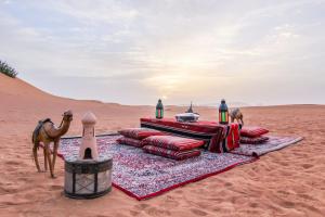 a blanket in the desert with a camel and a tent at Khamma Ghani Jaisalmer in Jaisalmer