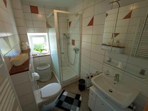 ein Bad mit einer Dusche, einem WC und einem Waschbecken in der Unterkunft Ferienwohnung / Ferienhaus Homburg in Homburg