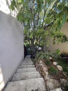 Jardin de l'établissement L'OlivierBlanc