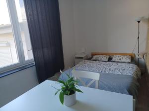 una camera con letto e tavolo con una pianta in vaso di Chez TiTiNoNo a Liegi