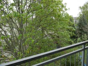 a fence next to a tree and some bushes at Ferienwohnung Stefan Heym am Kaßberg in Chemnitz