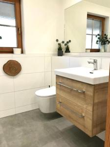 a bathroom with a sink and a toilet and a mirror at Ferienwohnung Enzian 3 im Feriendorf Sonnenhang im Allgäu in Missen-Wilhams