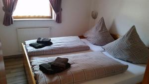 two beds in a room with two pillows at Ferienwohnung Enzian 1 im Feriendorf Sonnenhang im Allgäu in Missen-Wilhams