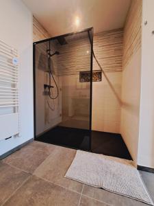 een douche met een glazen deur in de badkamer bij AMIKALEMENT VÔTRE - Gîte 2 personnes in La-Roche-en-Ardenne