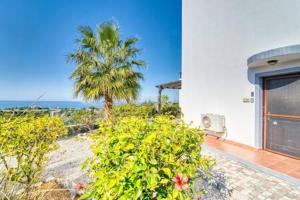 a house with a palm tree in front of the ocean at Joya Cyprus Sea Sunset View Garden Apartment in Arsos