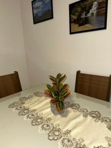 uma mesa com uma planta em cima em Conforto e Aconchego no Coração da Cidade. em Teresópolis