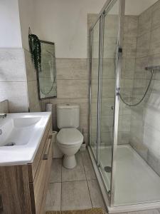 a bathroom with a toilet and a shower and a sink at Hop Cottage in Mirfield