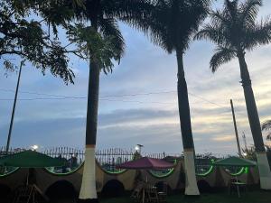 um grupo de palmeiras com mesas e guarda-chuvas em 7 Days Hotel em Entebbe