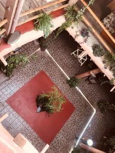 an overhead view of a patio with potted plants at Riad assriir in Tiznit