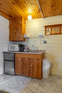 a kitchen with a sink and a microwave at Cranmore Mountain Lodge Bed & Breakfast in North Conway